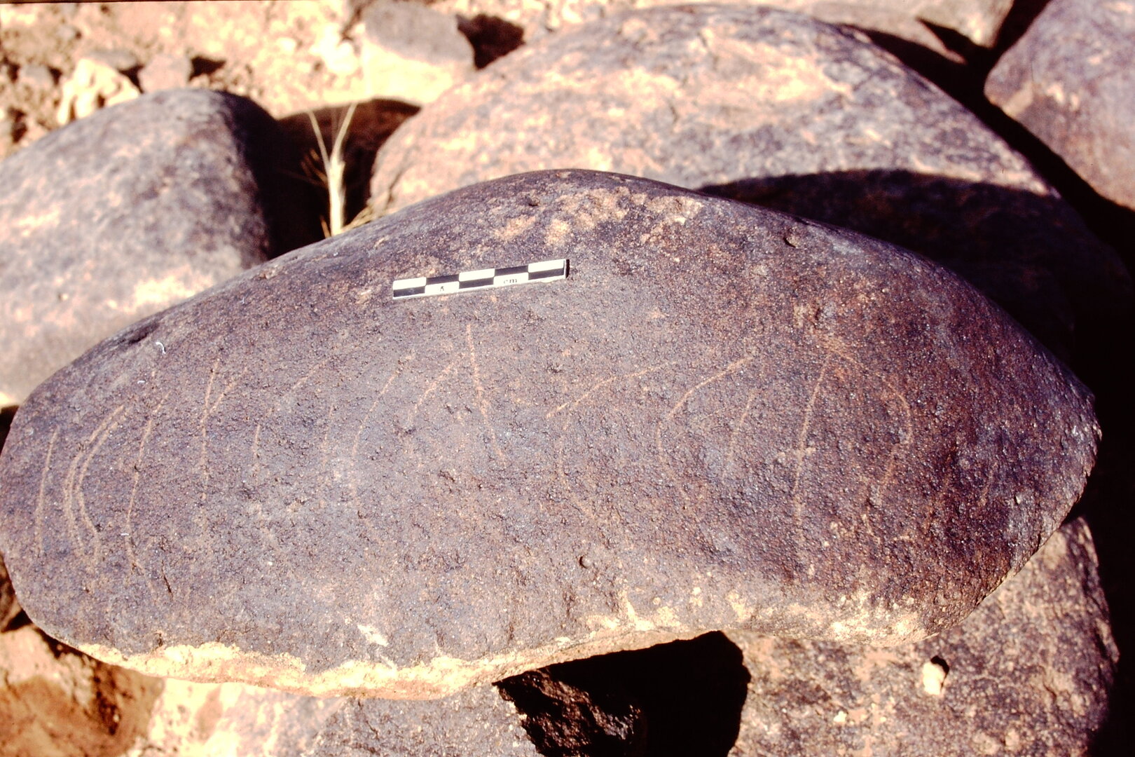 inscription of siglum Is.L 183