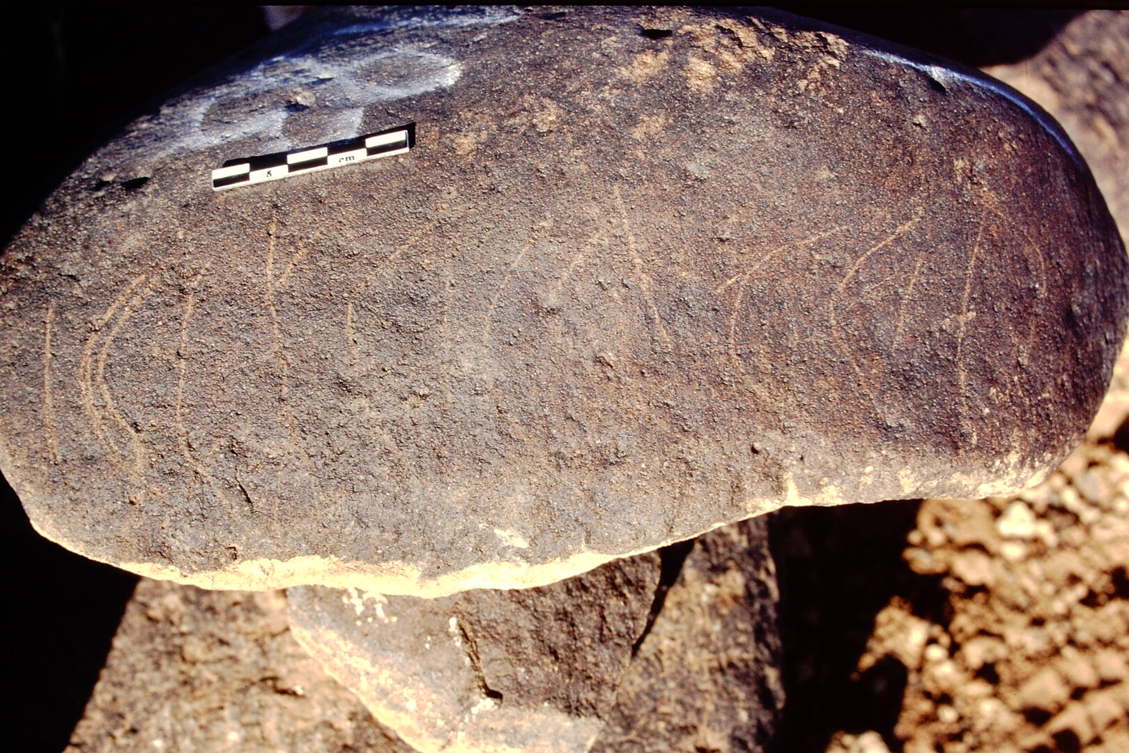 inscription of siglum Is.L 183