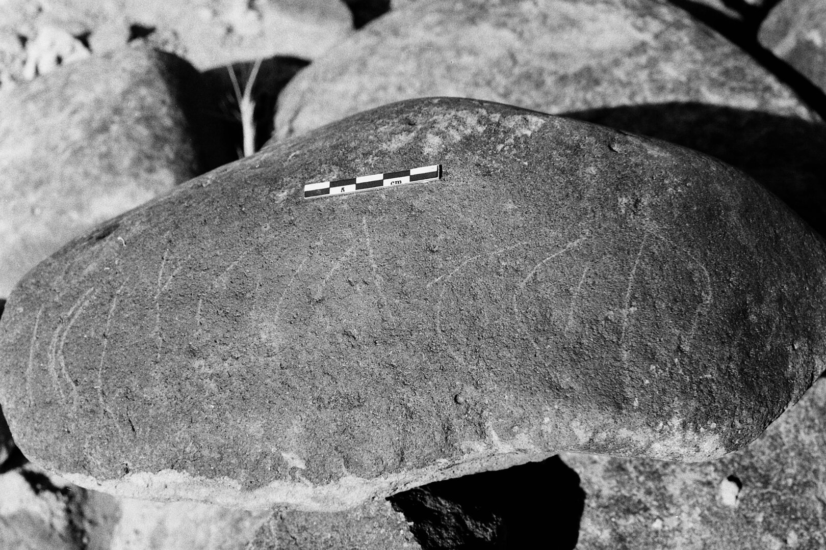 inscription of siglum Is.L 184
