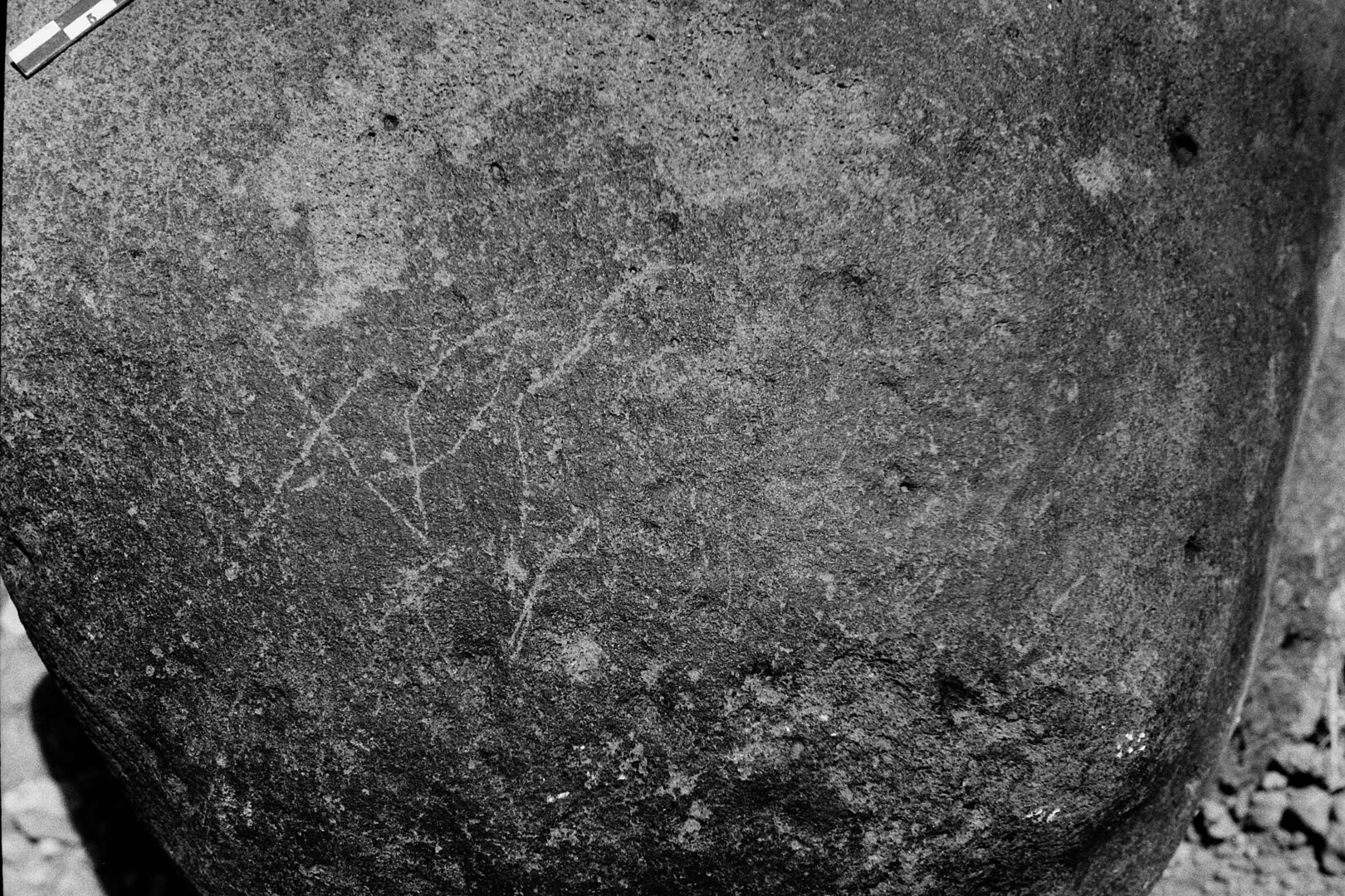 inscription of siglum Is.L 189