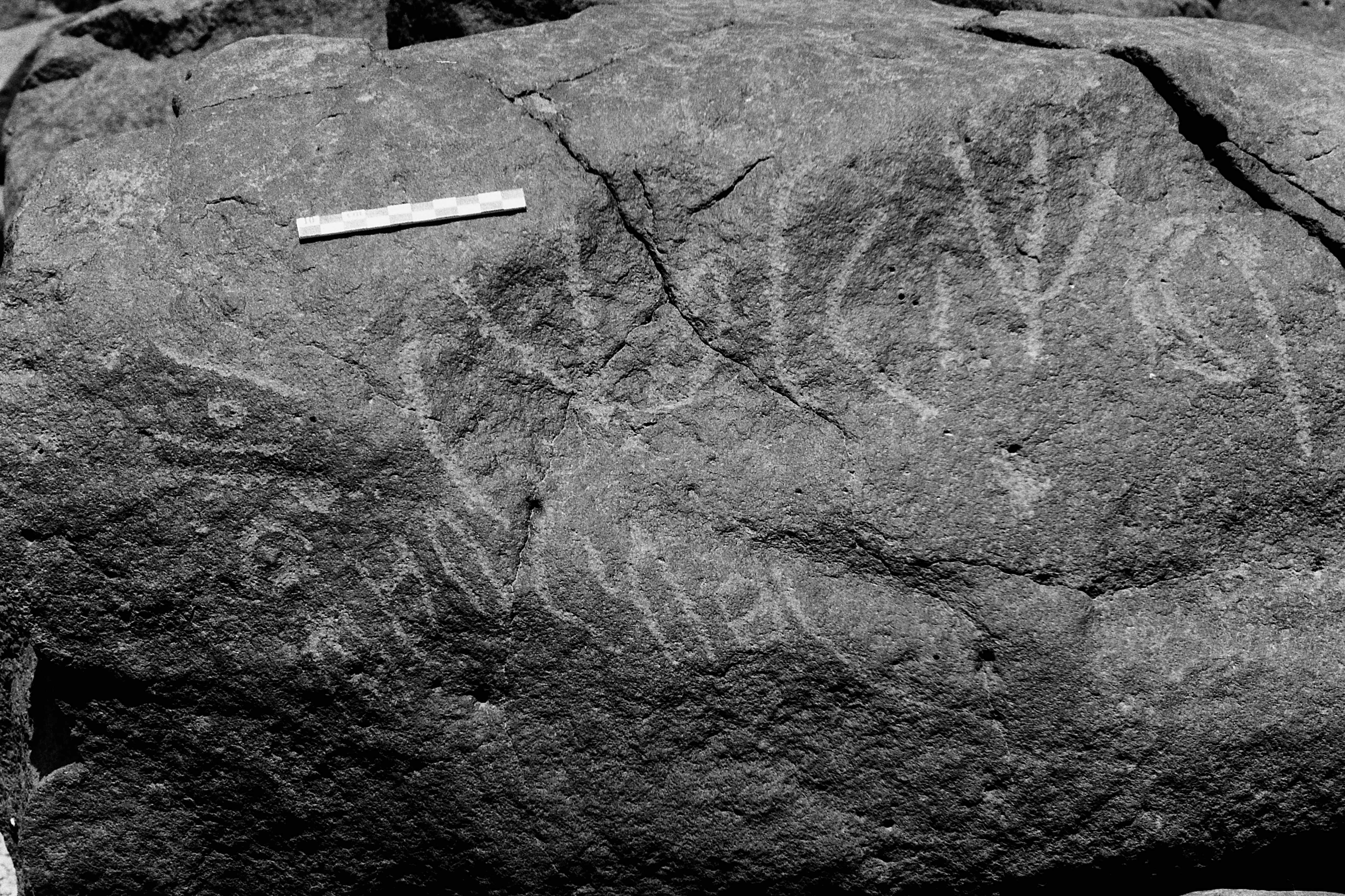 inscription of siglum Is.L 193