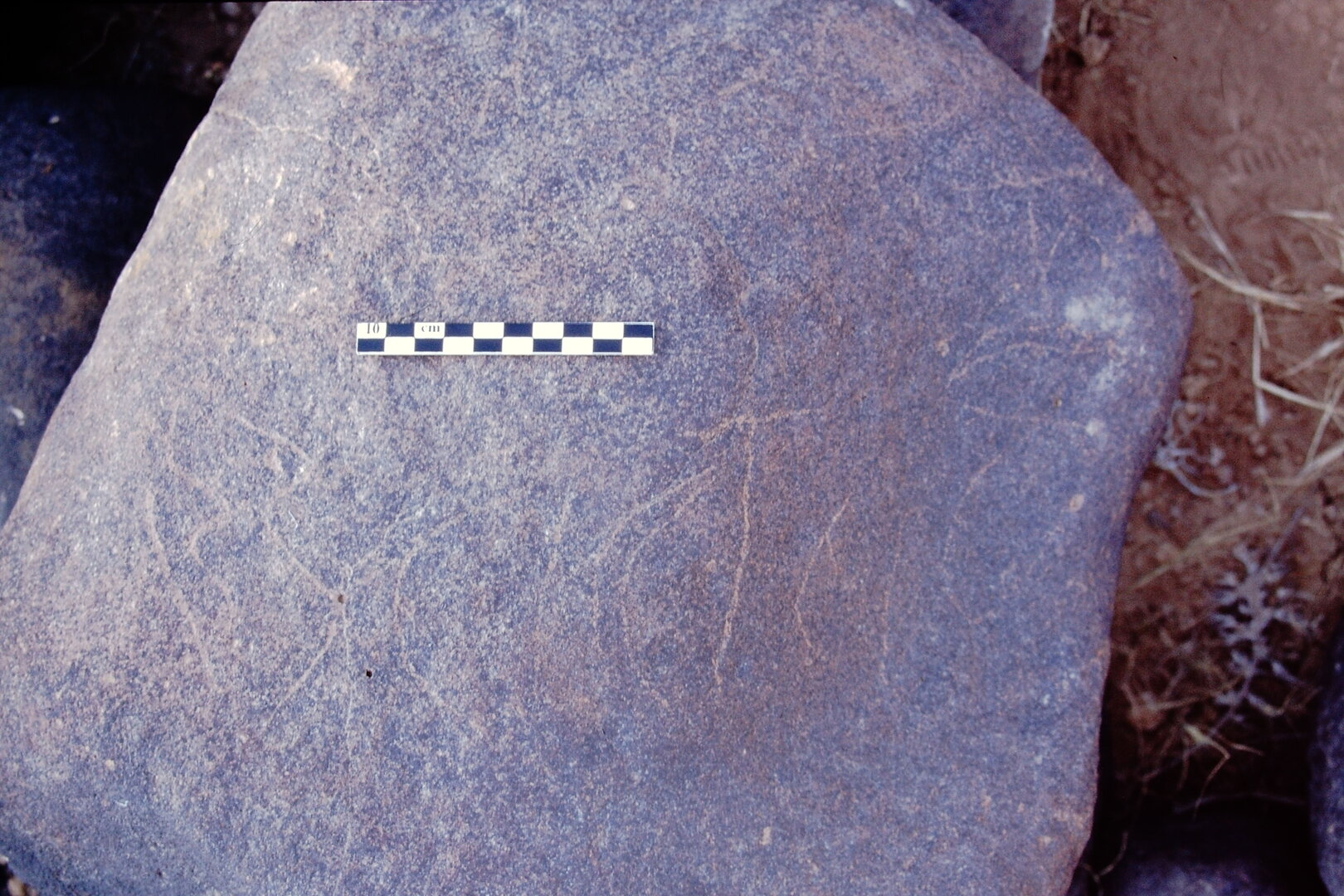 inscription of siglum Is.L 194