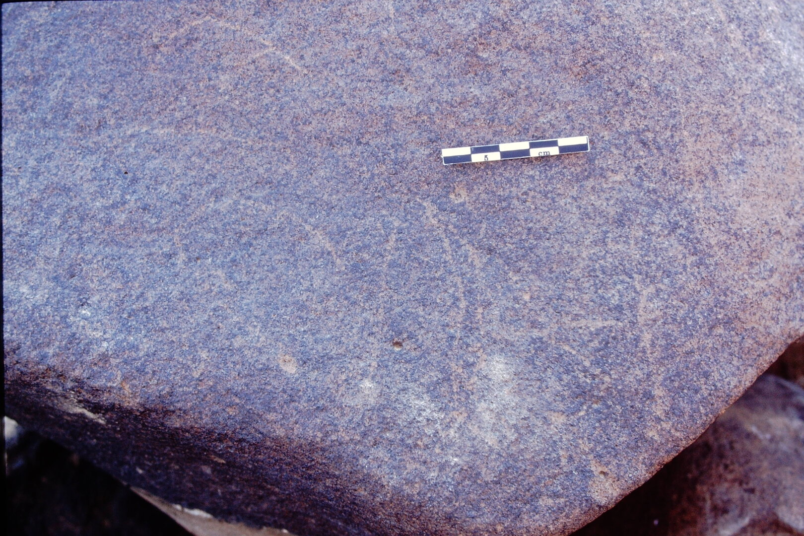 inscription of siglum Is.L 194