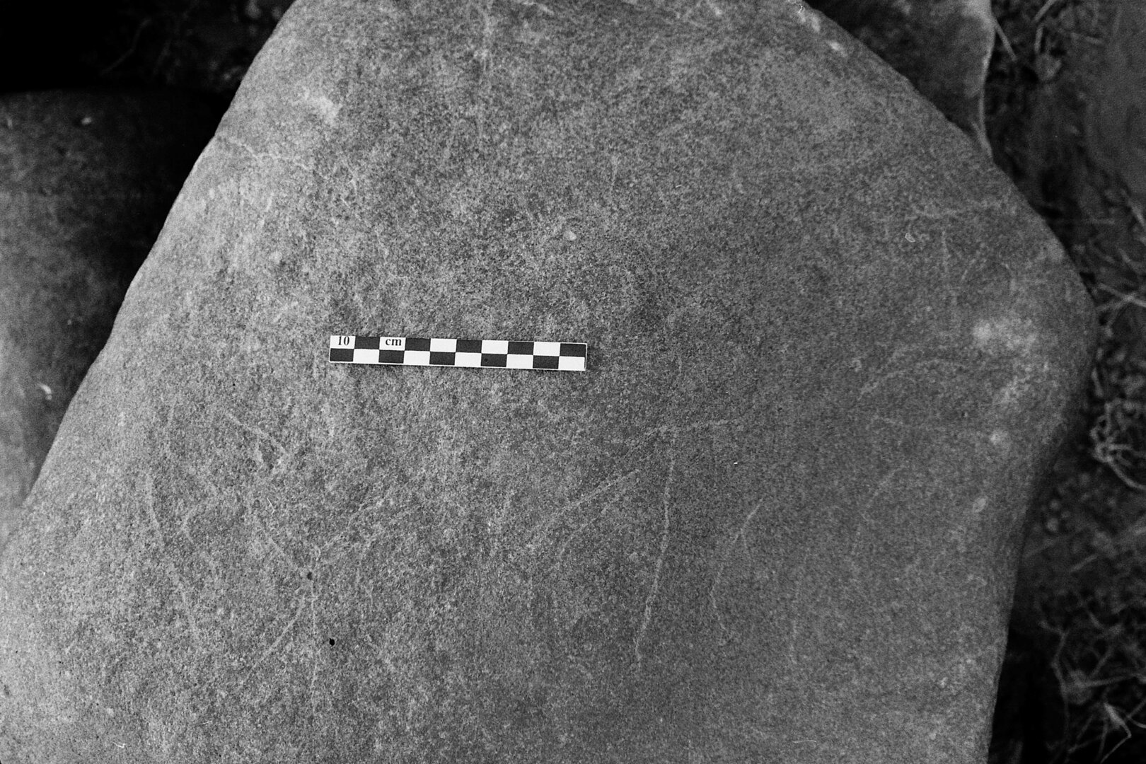 inscription of siglum Is.L 194