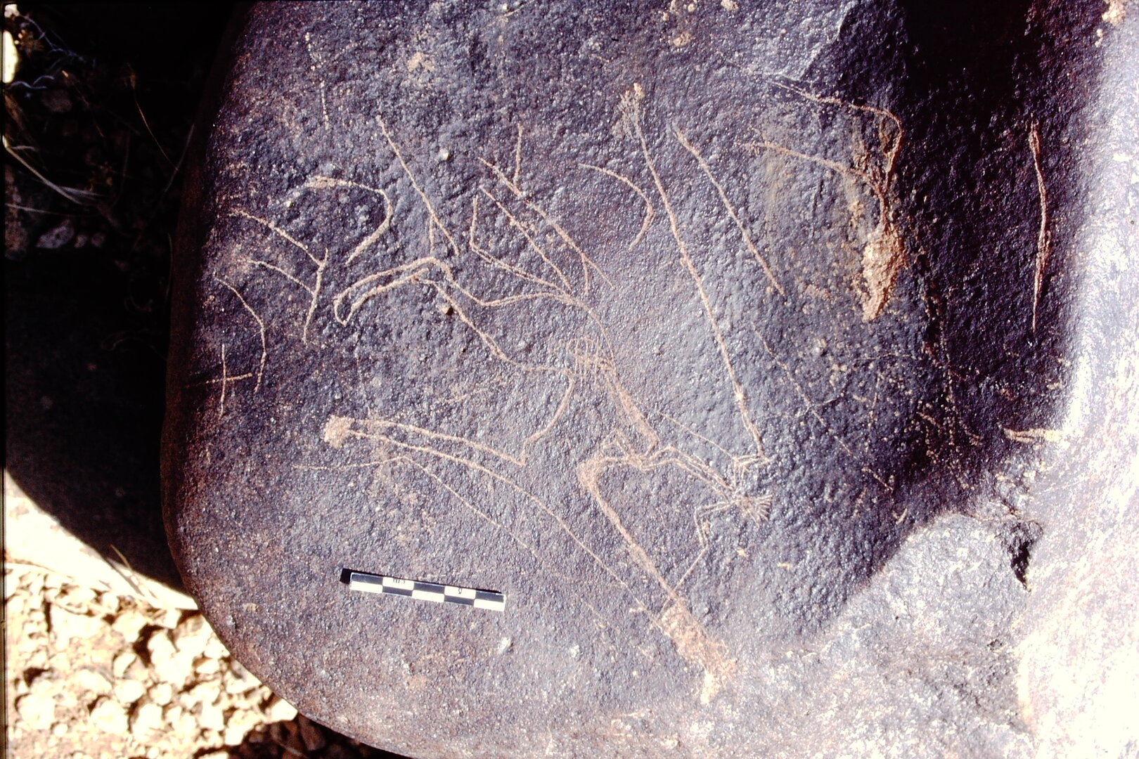 inscription of siglum Is.L 195