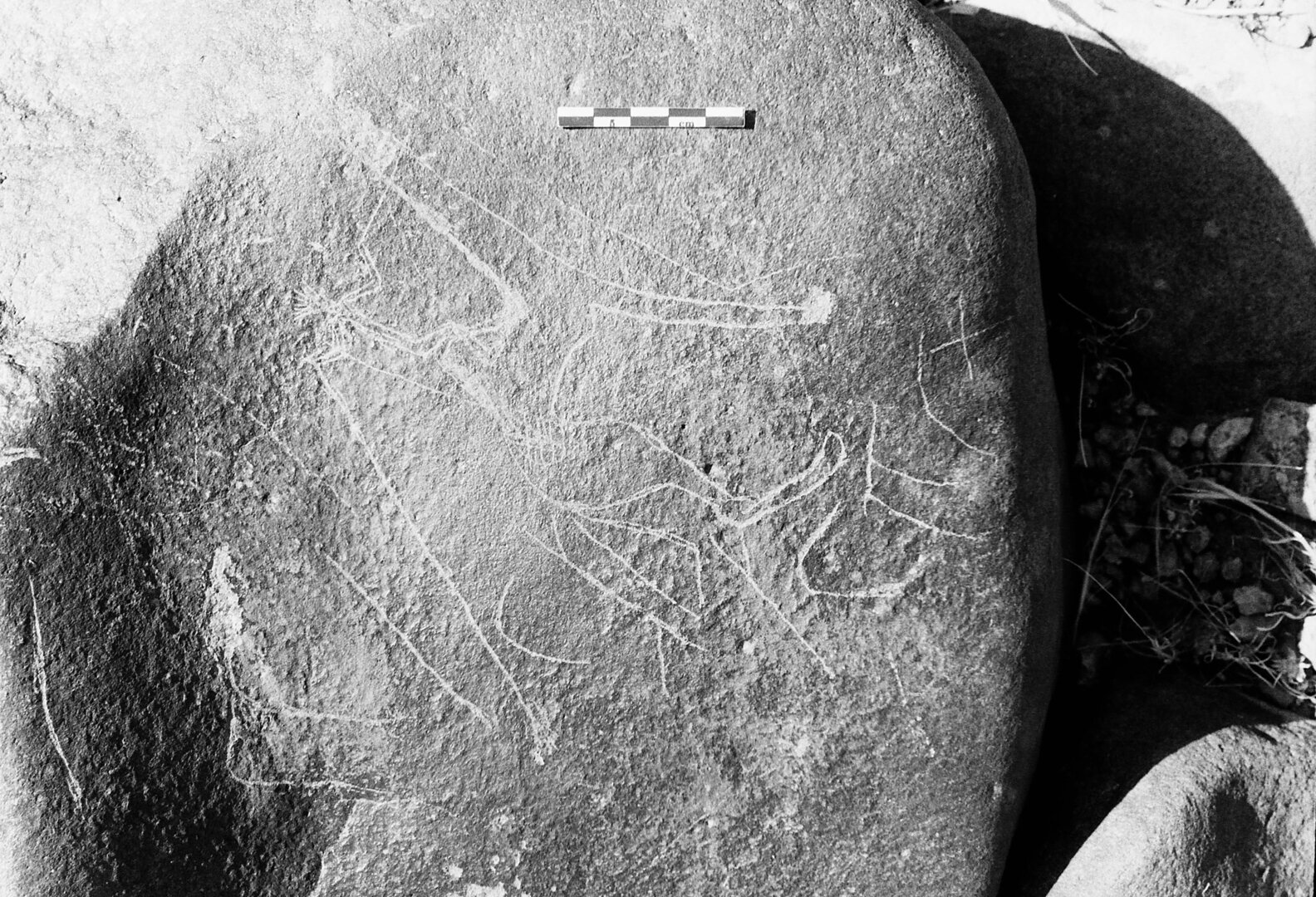 inscription of siglum Is.L 196