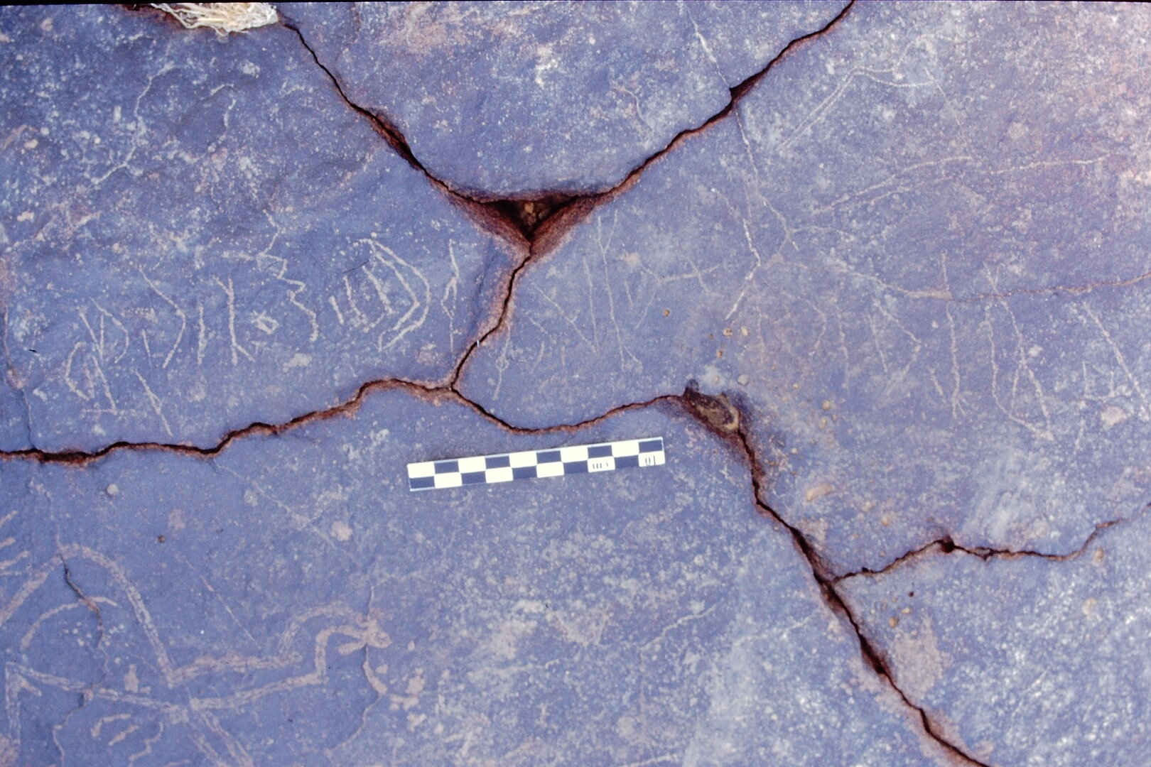 inscription of siglum Is.L 197