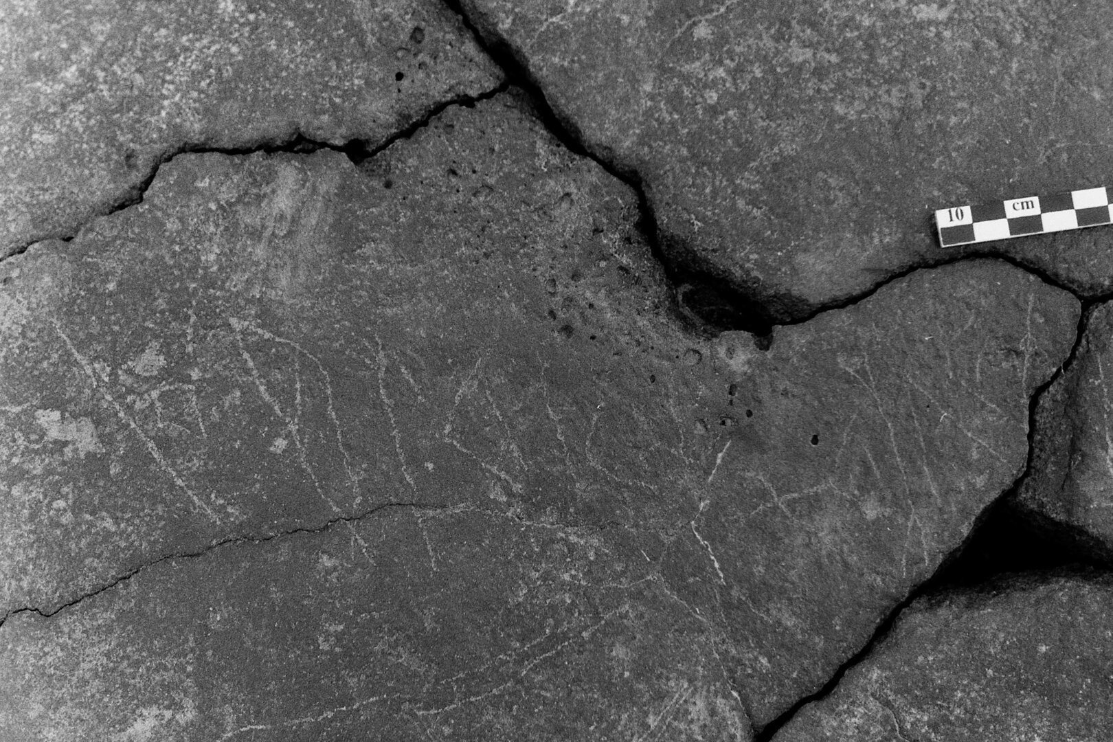 inscription of siglum Is.L 197