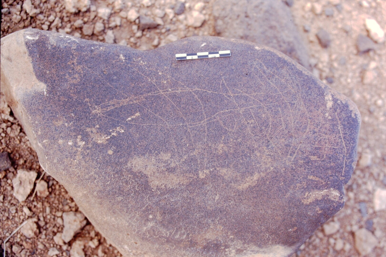 inscription of siglum Is.L 20