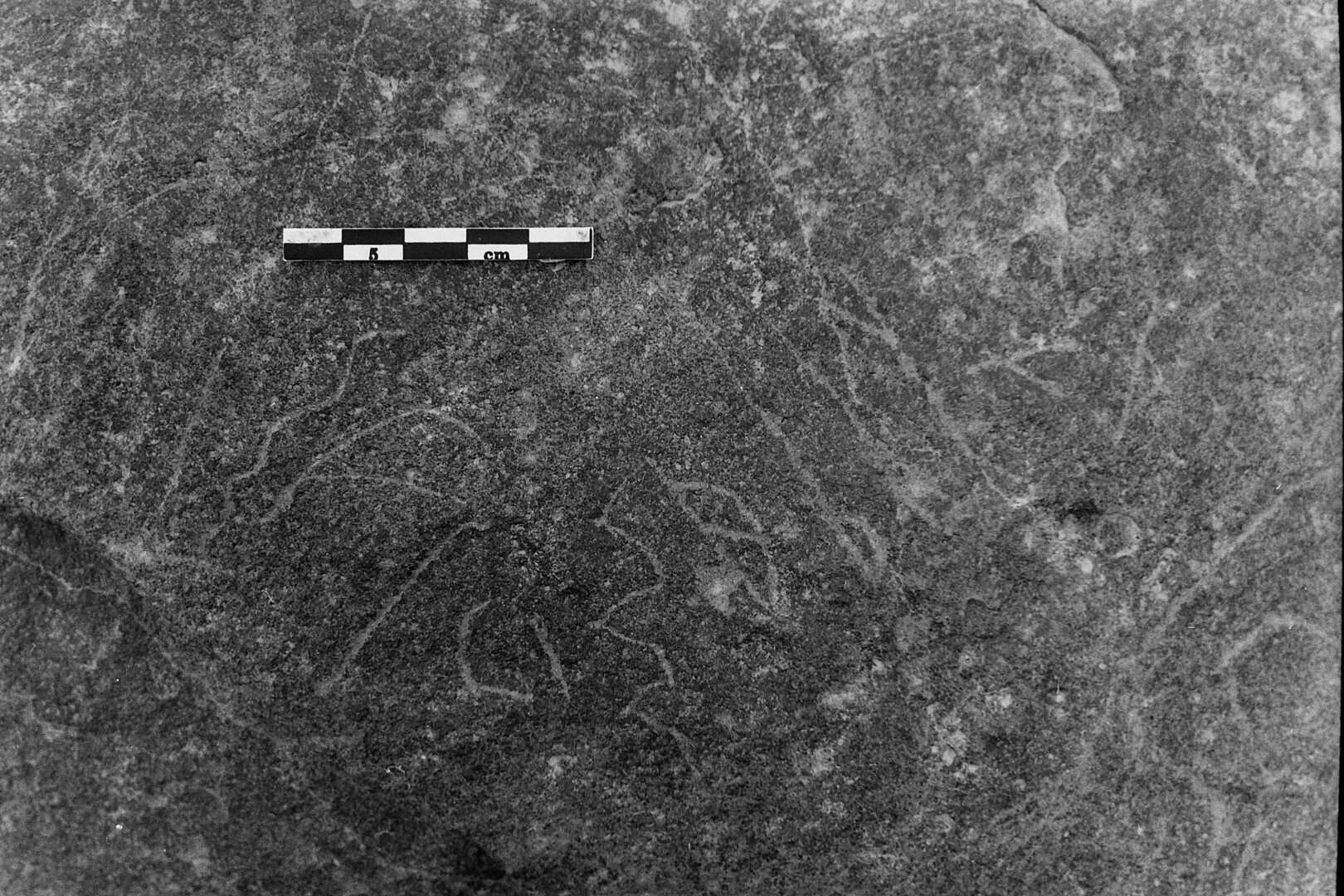 inscription of siglum Is.L 217