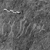 inscription of siglum Is.L 220.1