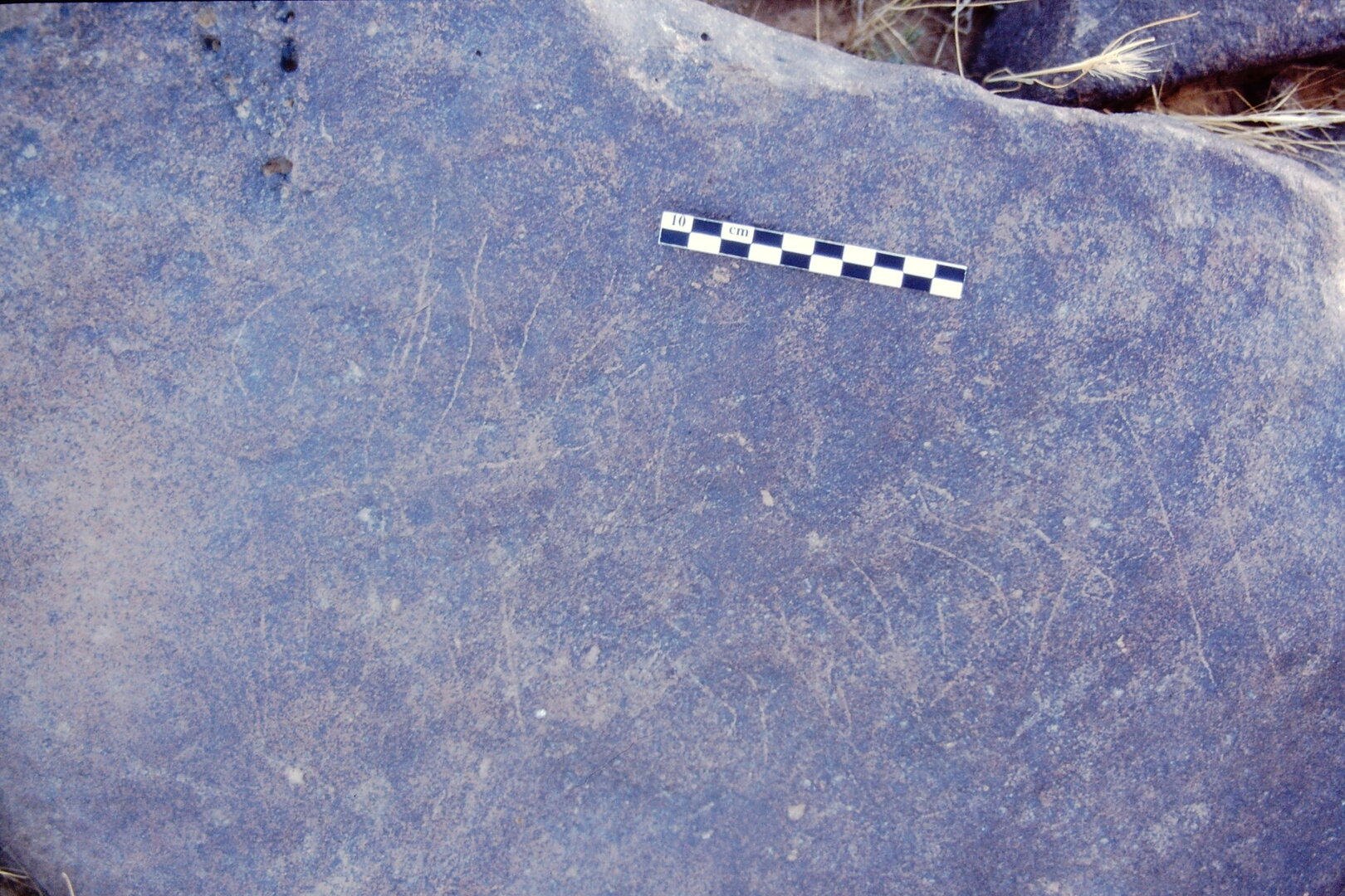 inscription of siglum Is.L 224