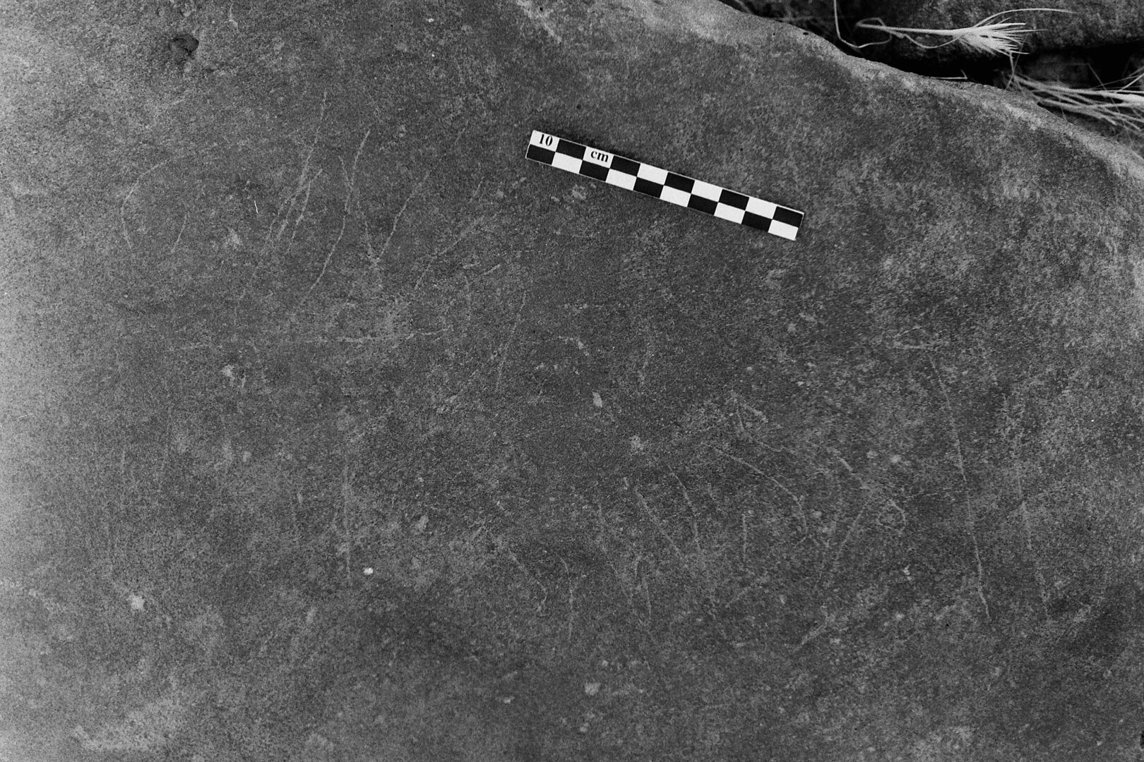 inscription of siglum Is.L 224