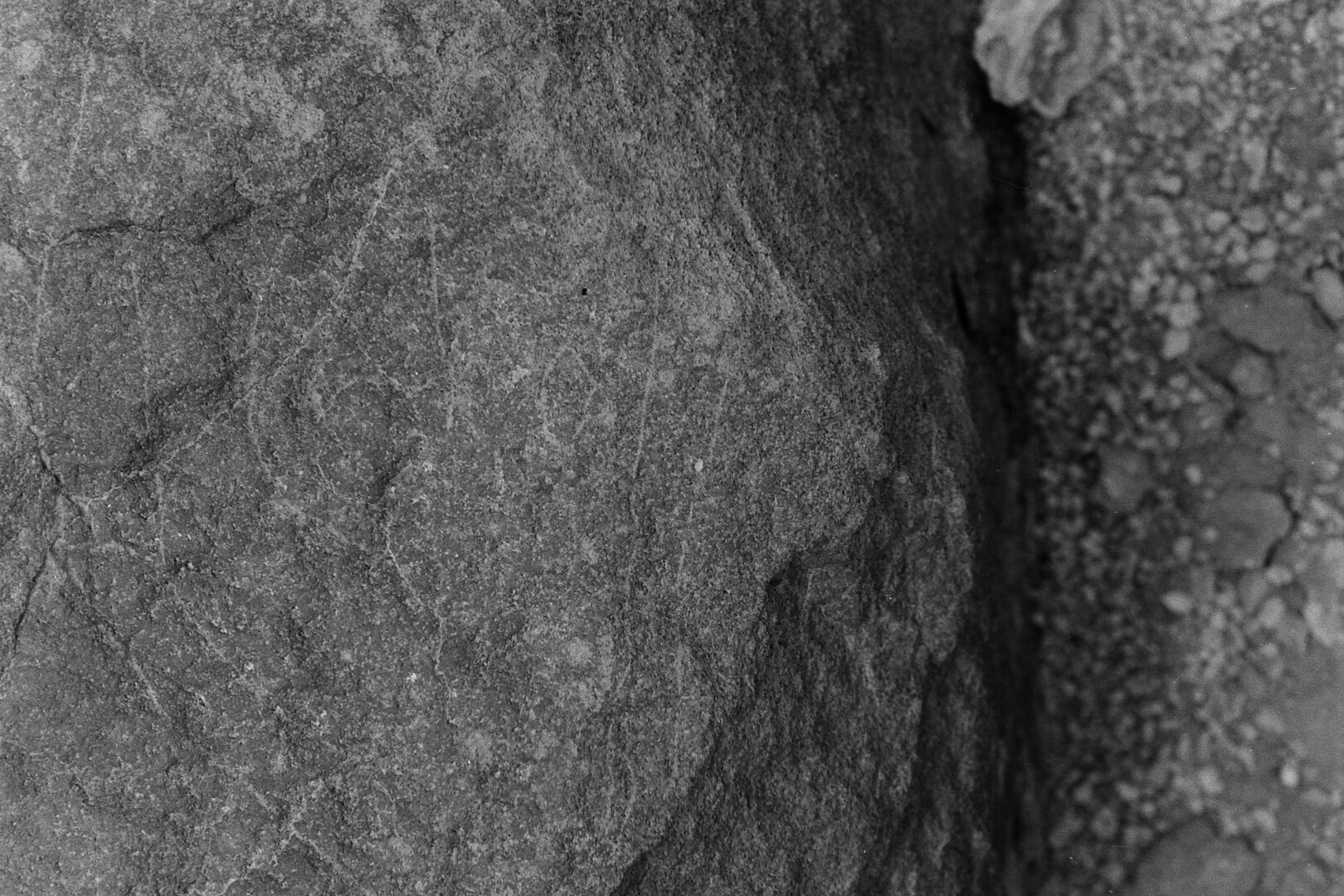 inscription of siglum Is.L 237