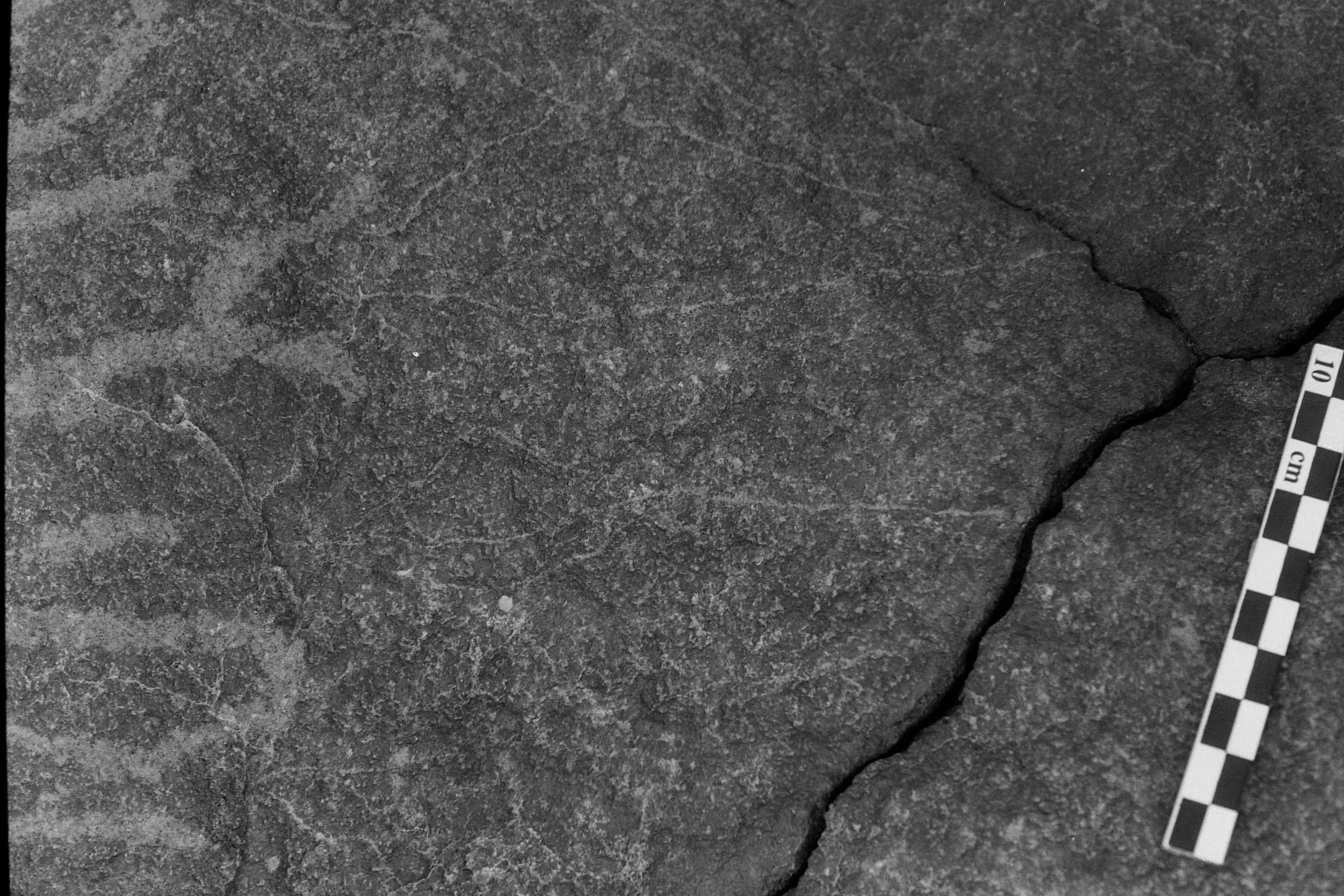 inscription of siglum Is.L 237