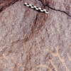 inscription of siglum Is.L 237