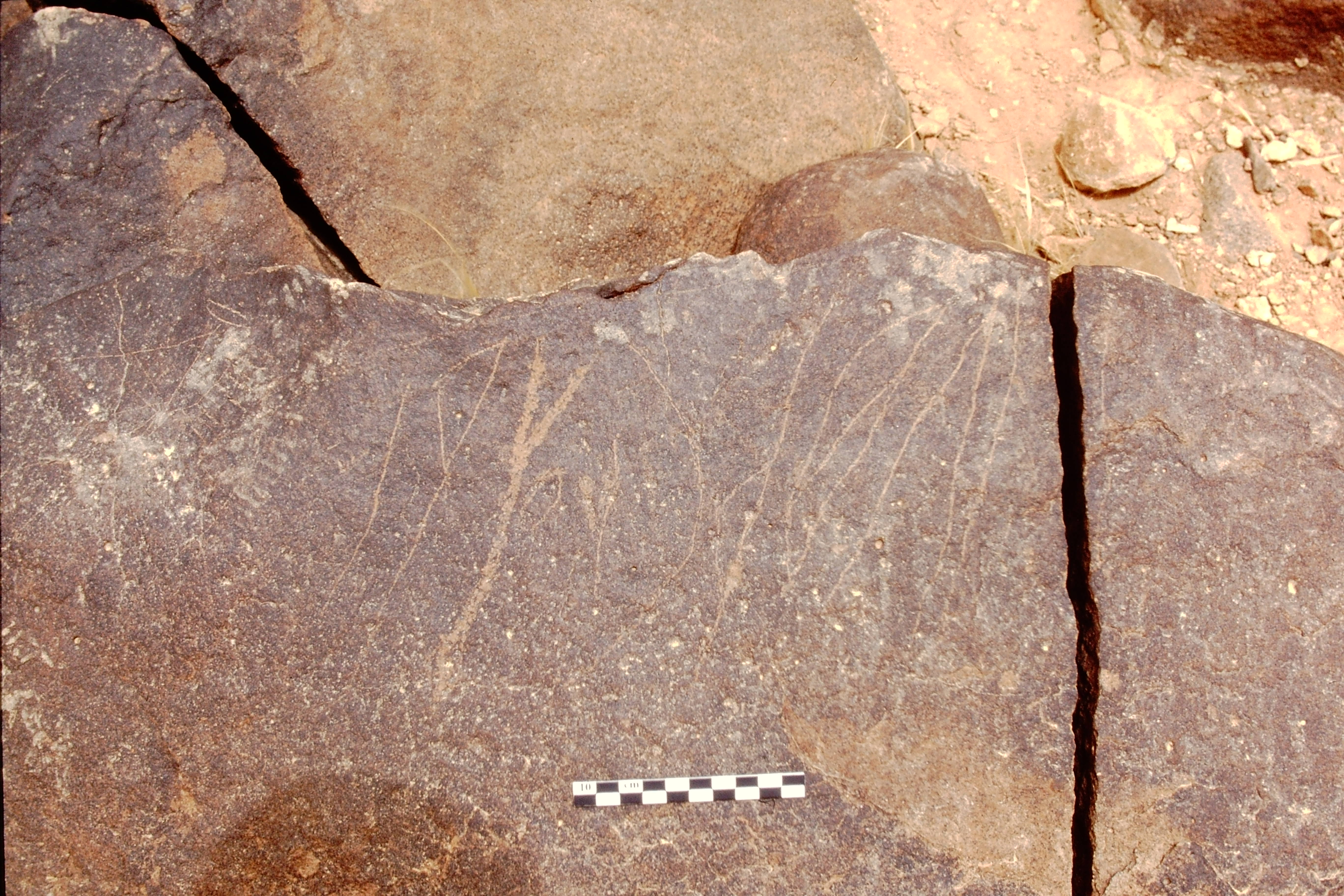inscription of siglum Is.L 24