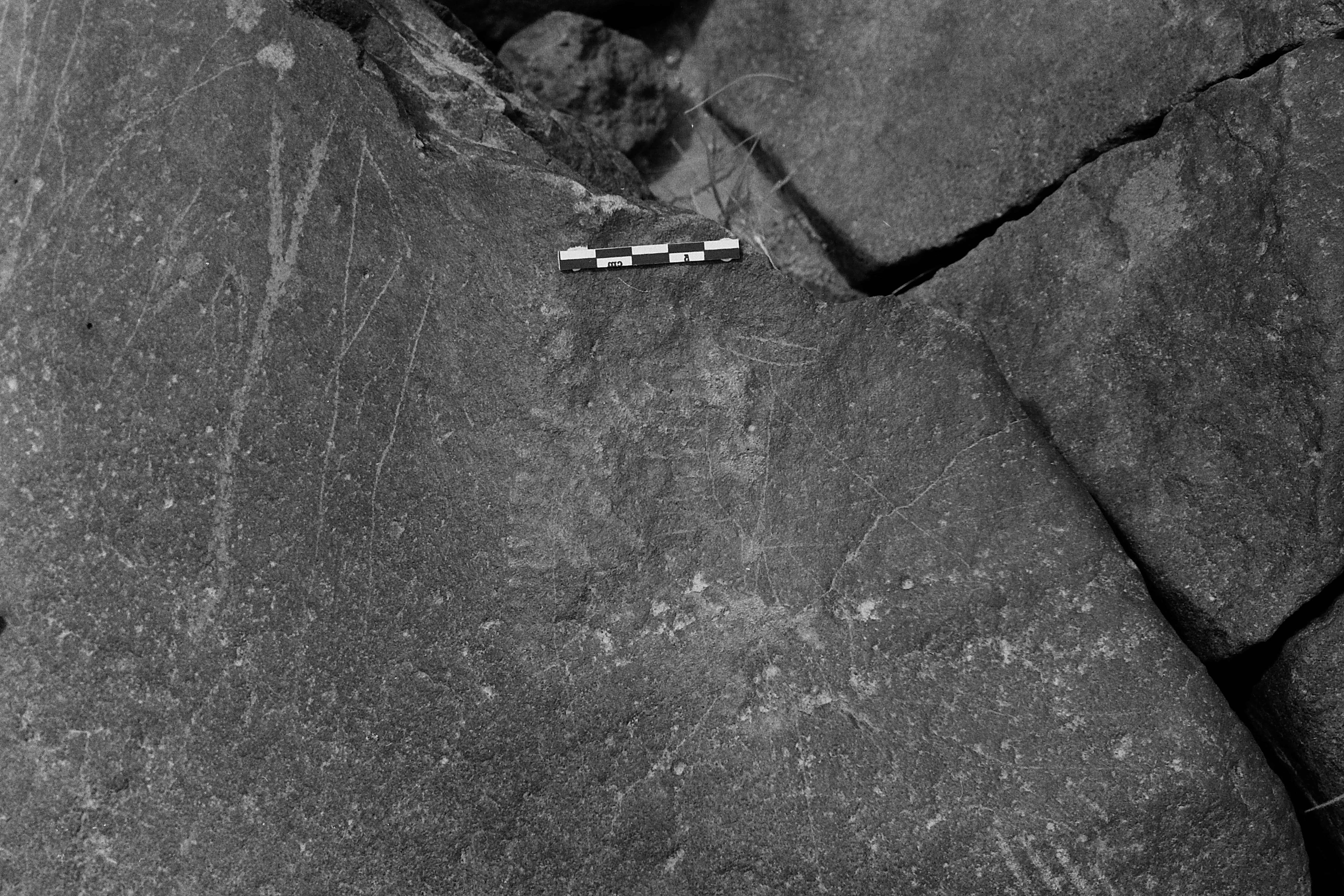 inscription of siglum Is.L 24
