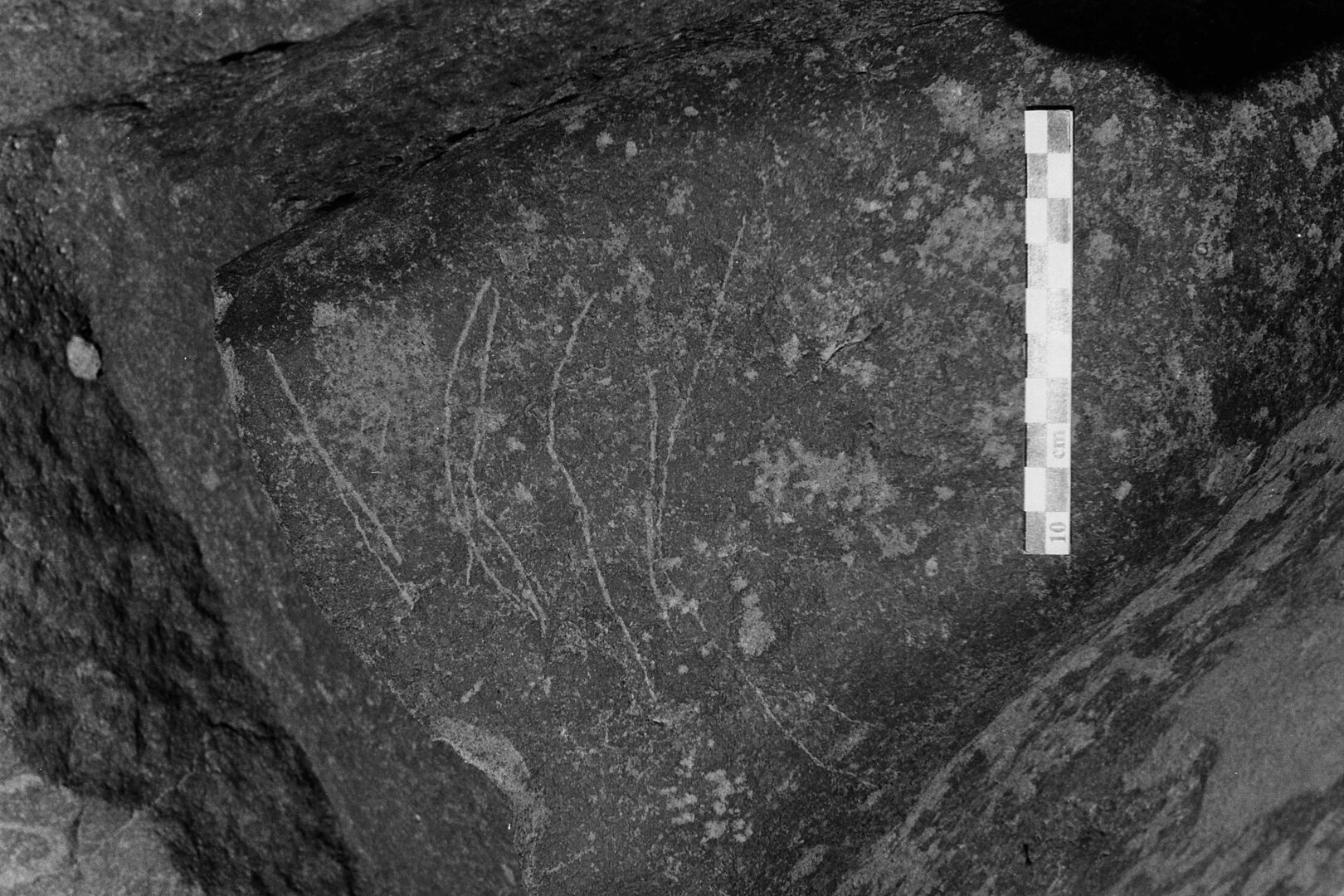 inscription of siglum Is.L 245