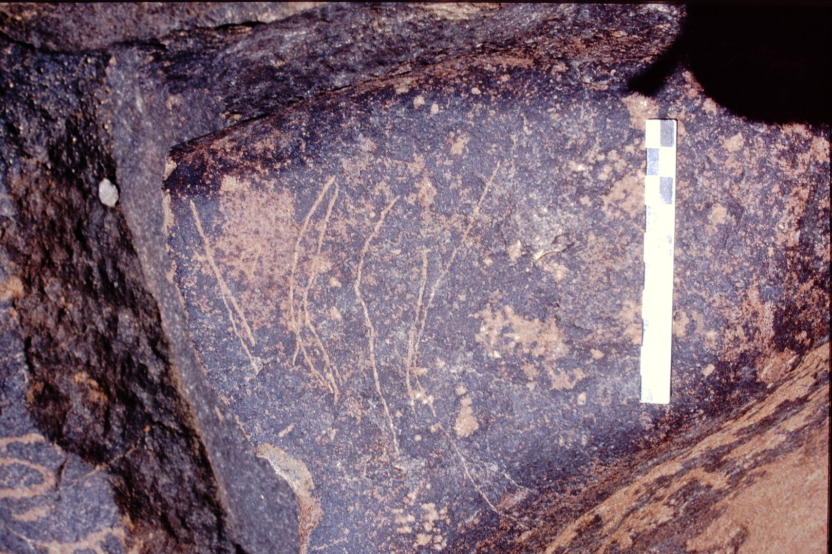 inscription of siglum Is.L 245