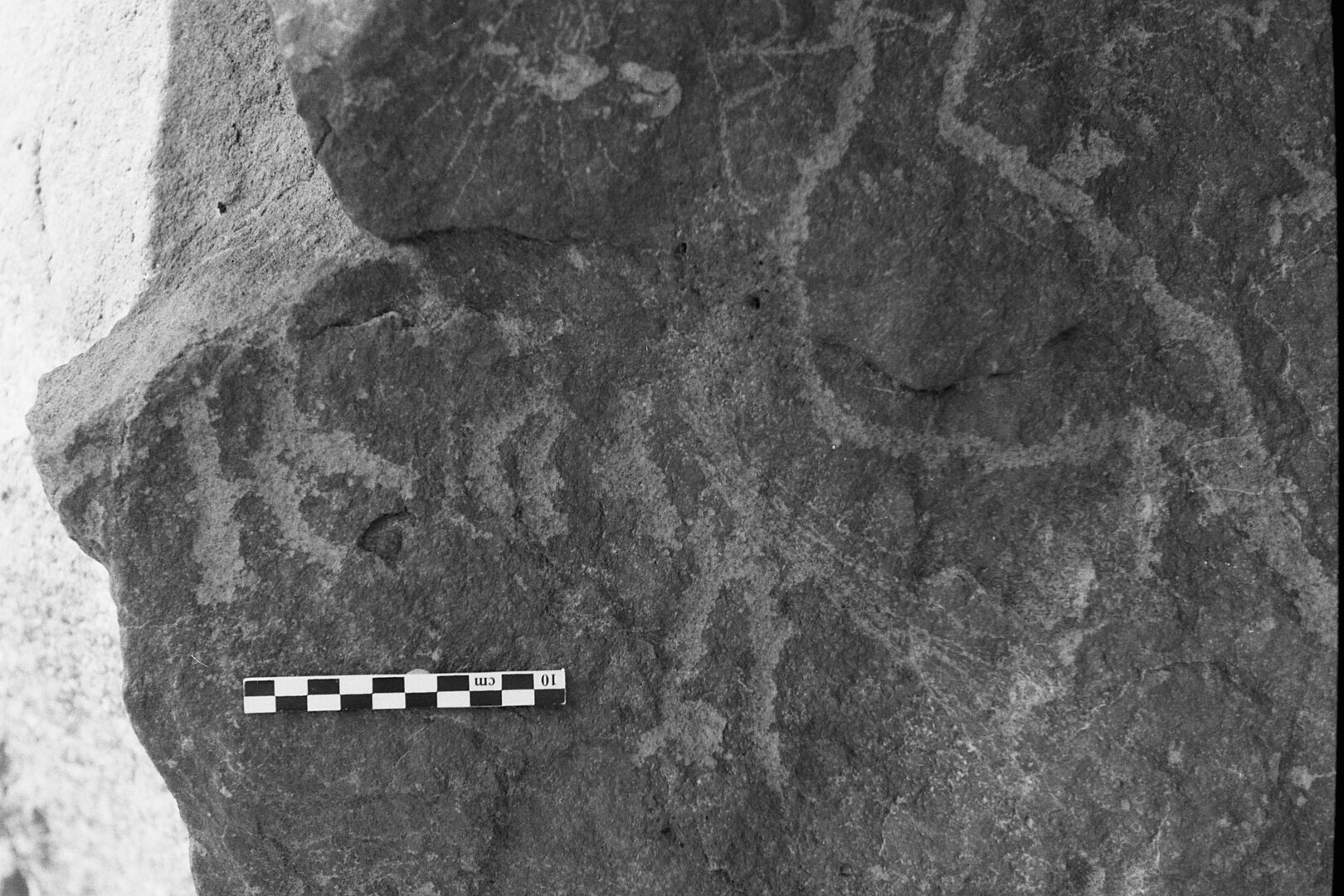 inscription of siglum Is.L 247