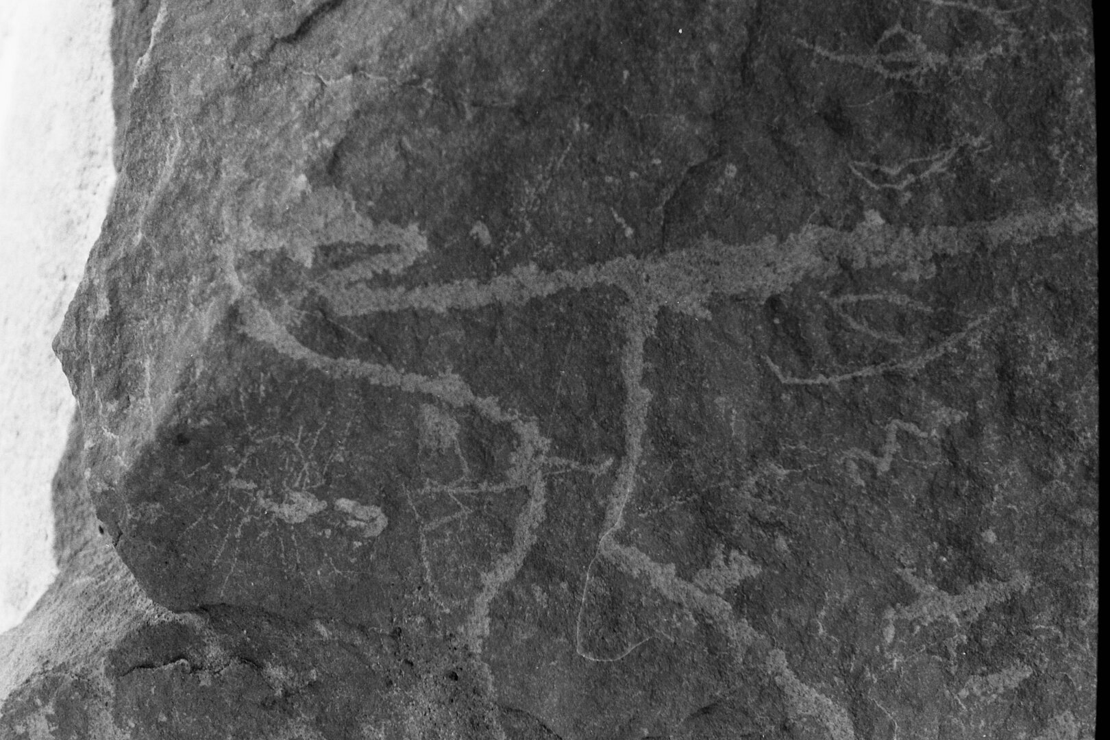 inscription of siglum Is.L 247