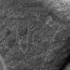 inscription of siglum Is.L 247
