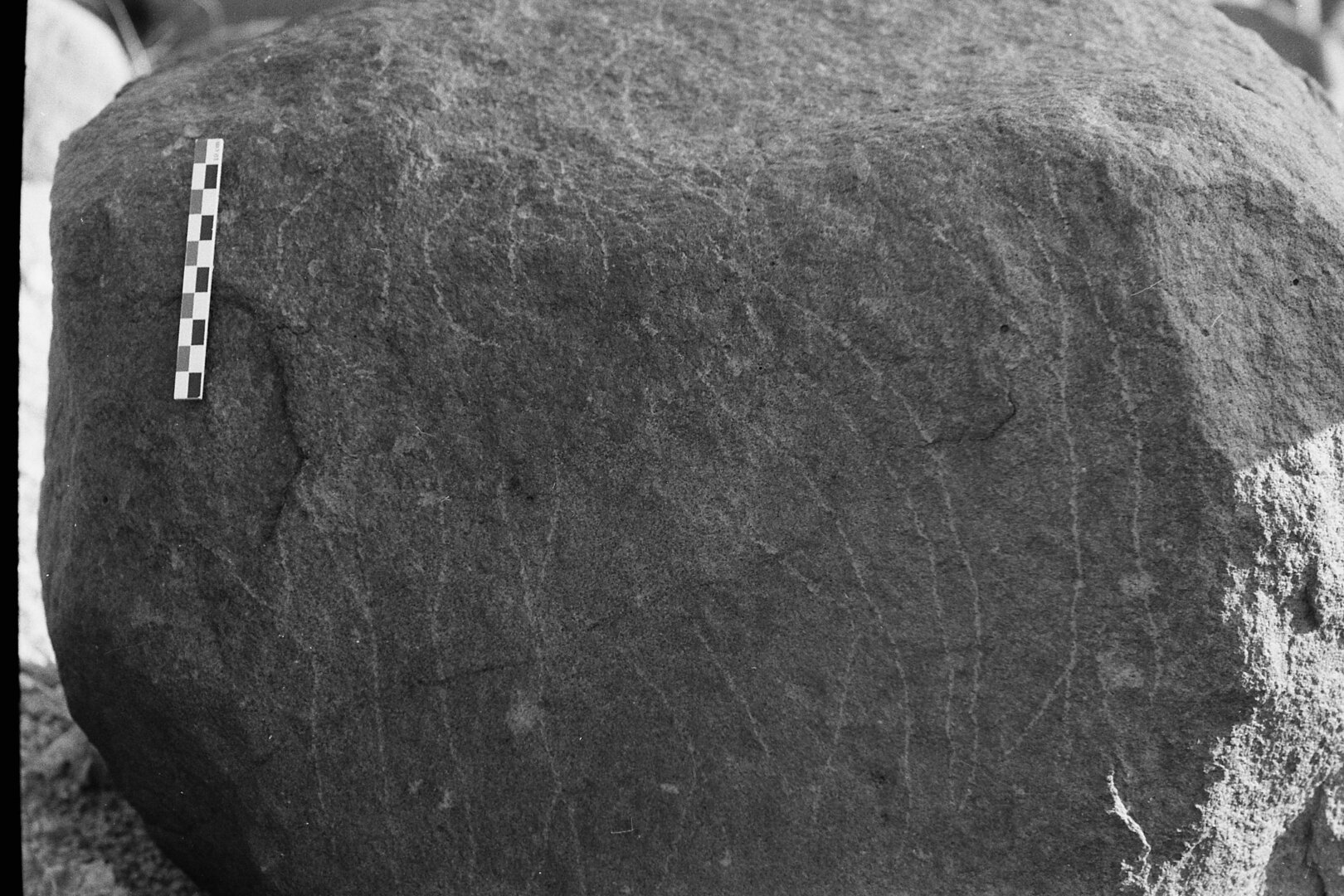 inscription of siglum Is.L 250