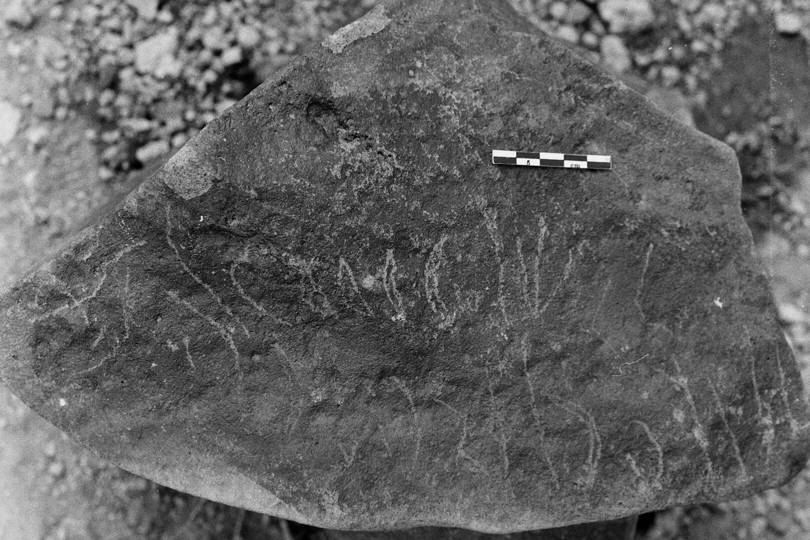 inscription of siglum Is.L 255