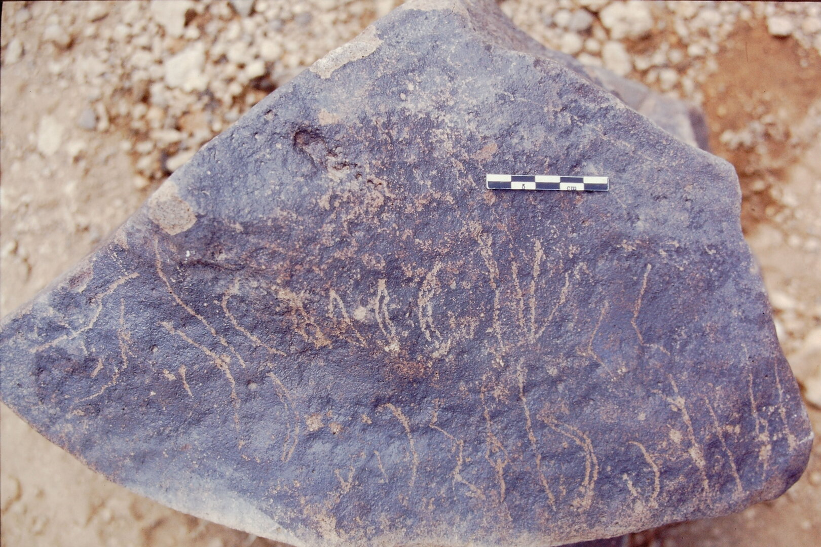 inscription of siglum Is.L 256