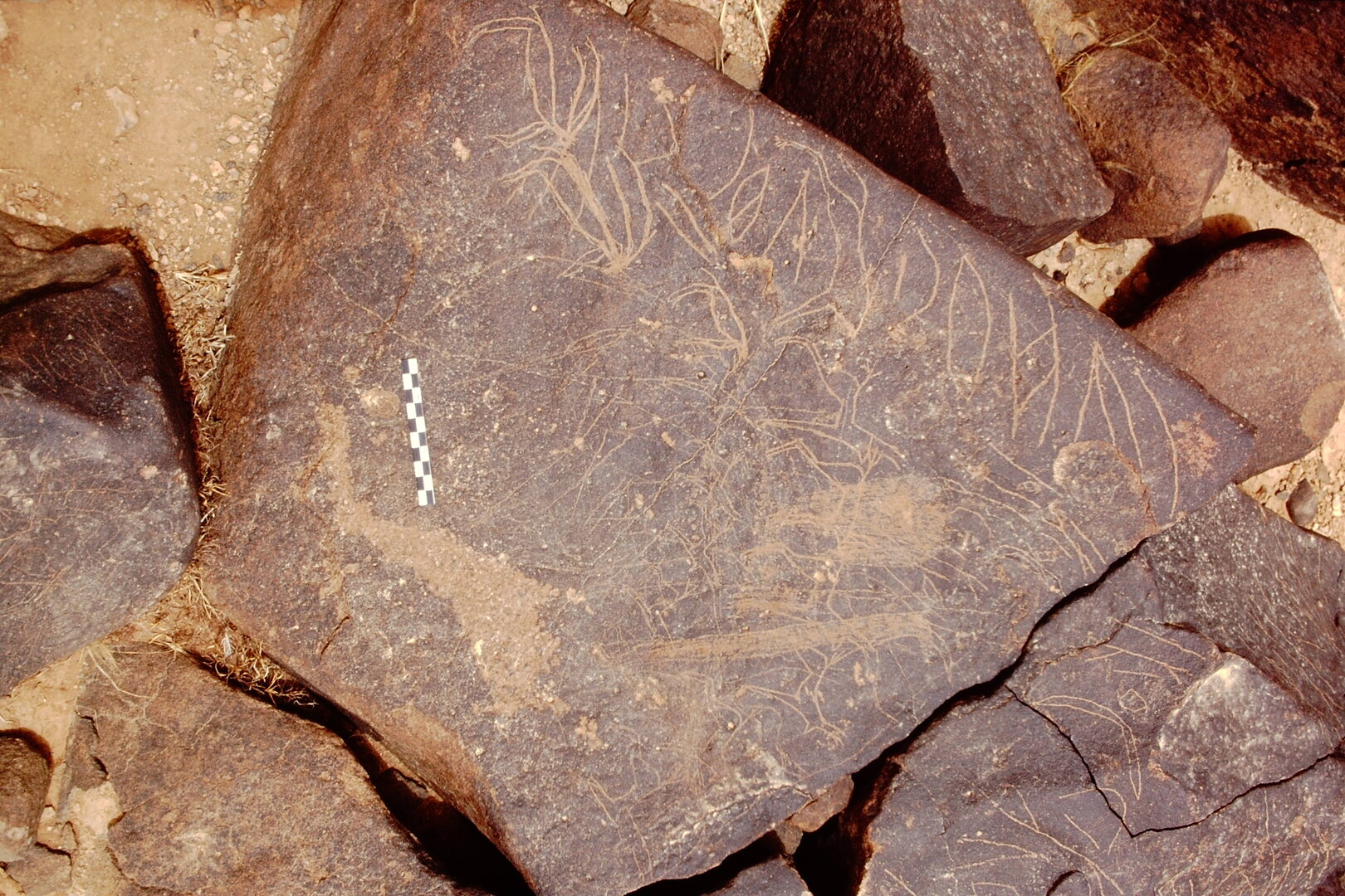 inscription of siglum Is.L 26