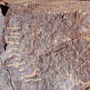 inscription of siglum Is.L 263