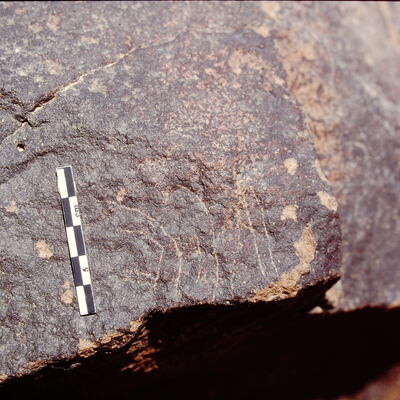inscription of siglum Is.L 264.1