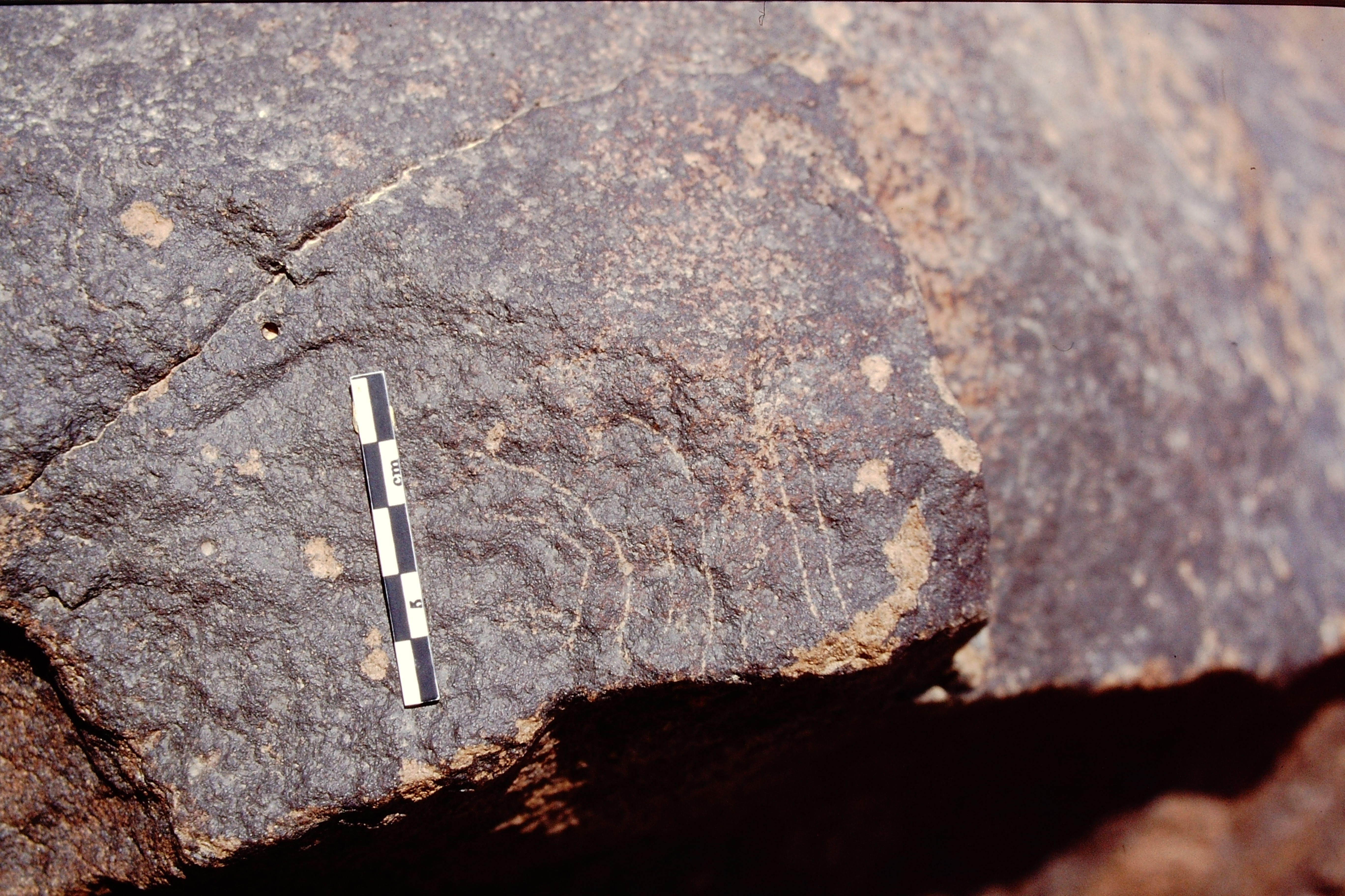 inscription of siglum Is.L 264.1