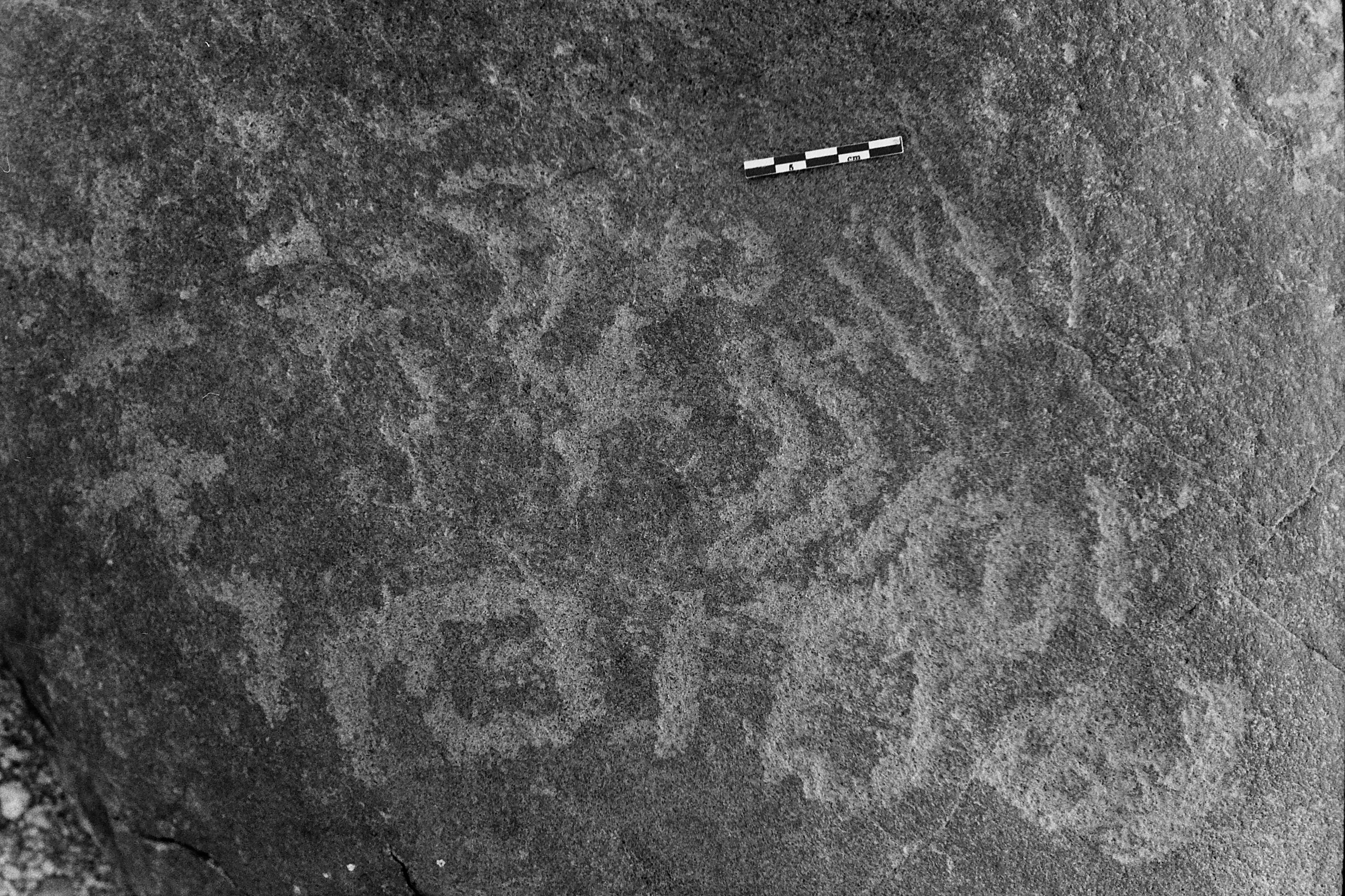inscription of siglum Is.L 264.1