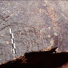 inscription of siglum Is.L 264.1