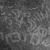 inscription of siglum Is.L 264.1