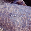 inscription of siglum Is.L 271