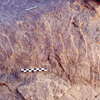 inscription of siglum Is.L 275.1