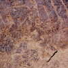 inscription of siglum Is.L 275.1