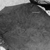 inscription of siglum Is.L 275.1