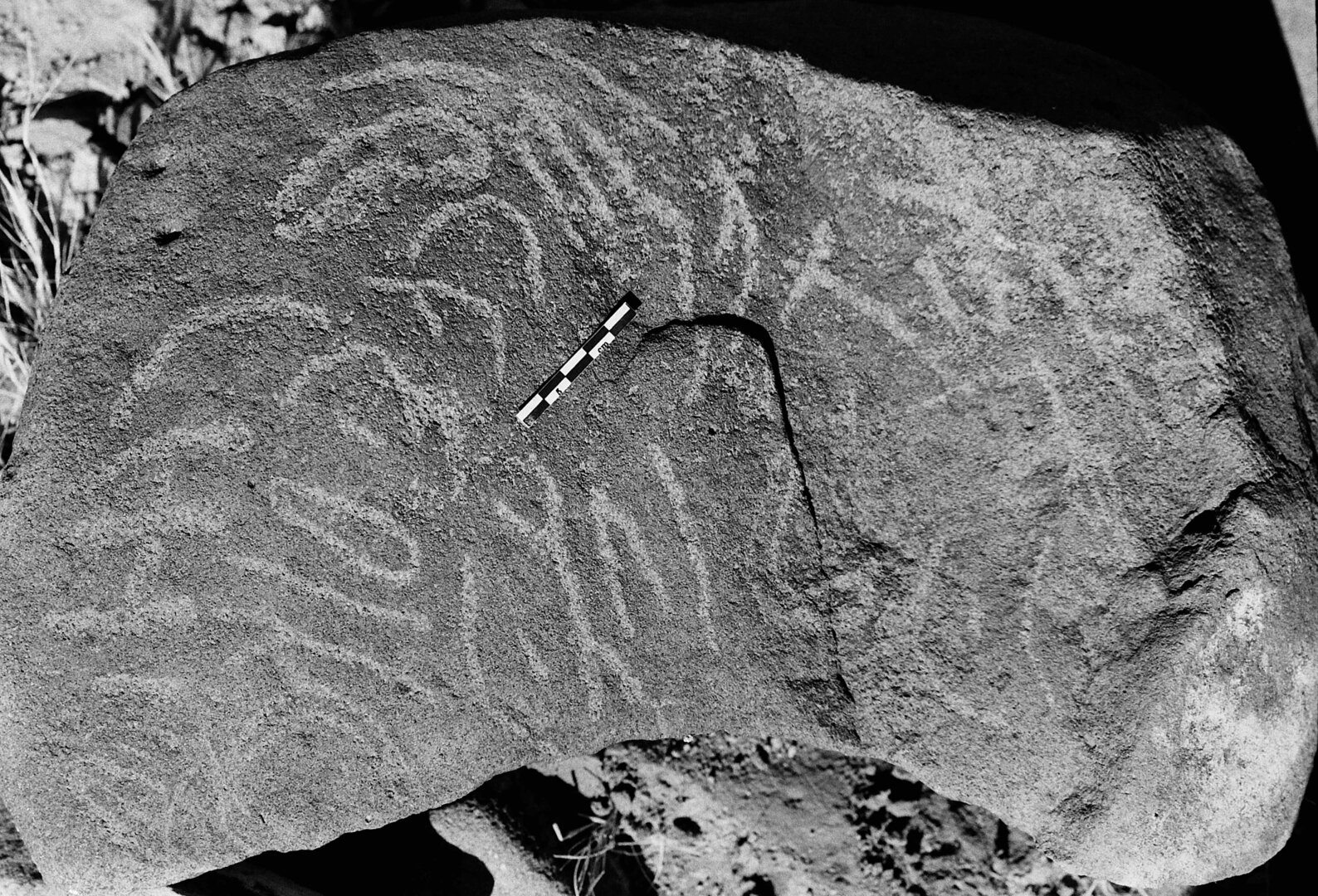 inscription of siglum Is.L 289