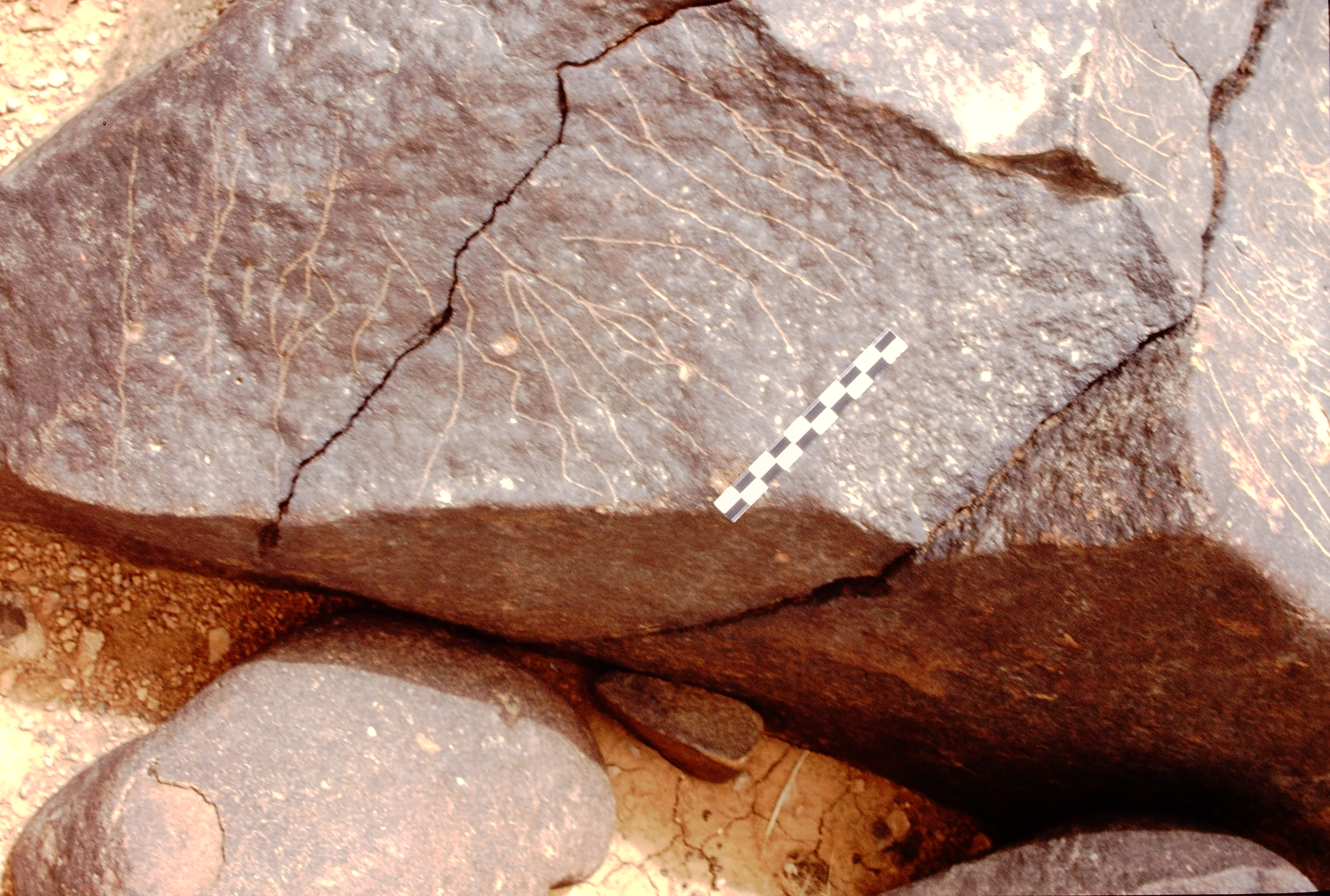 inscription of siglum Is.L 29