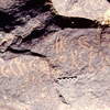 inscription of siglum Is.L 290