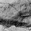 inscription of siglum Is.L 299.1