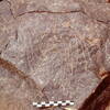 inscription of siglum Is.L 30