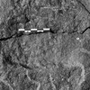 inscription of siglum Is.L 300