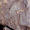 inscription of siglum Is.L 307
