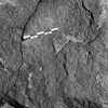 inscription of siglum Is.L 307