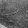 inscription of siglum Is.L 308